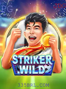 Descubra o Mundo Empolgante de StrikerWILD e 335BRL.COM